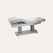 2249 Electric Multi Purpose Facial & Massage Bed