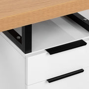 MOMO L02 Manicure Desk With Dust Absorber