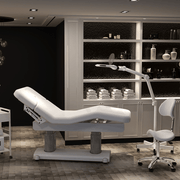 2249 Electric Multi Purpose Facial & Massage Bed