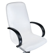 Pedicure Chair with foot massager BW-100 white