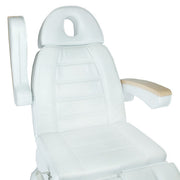 Electric Armchair LUX Pedicure BG-273C 3 engines