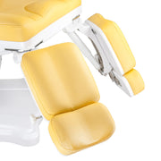 Mazaro Electric Cosmetic Chair BR-6672A – Honey Color