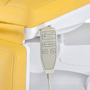 Mazaro Electric Cosmetic Chair BR-6672B Miod