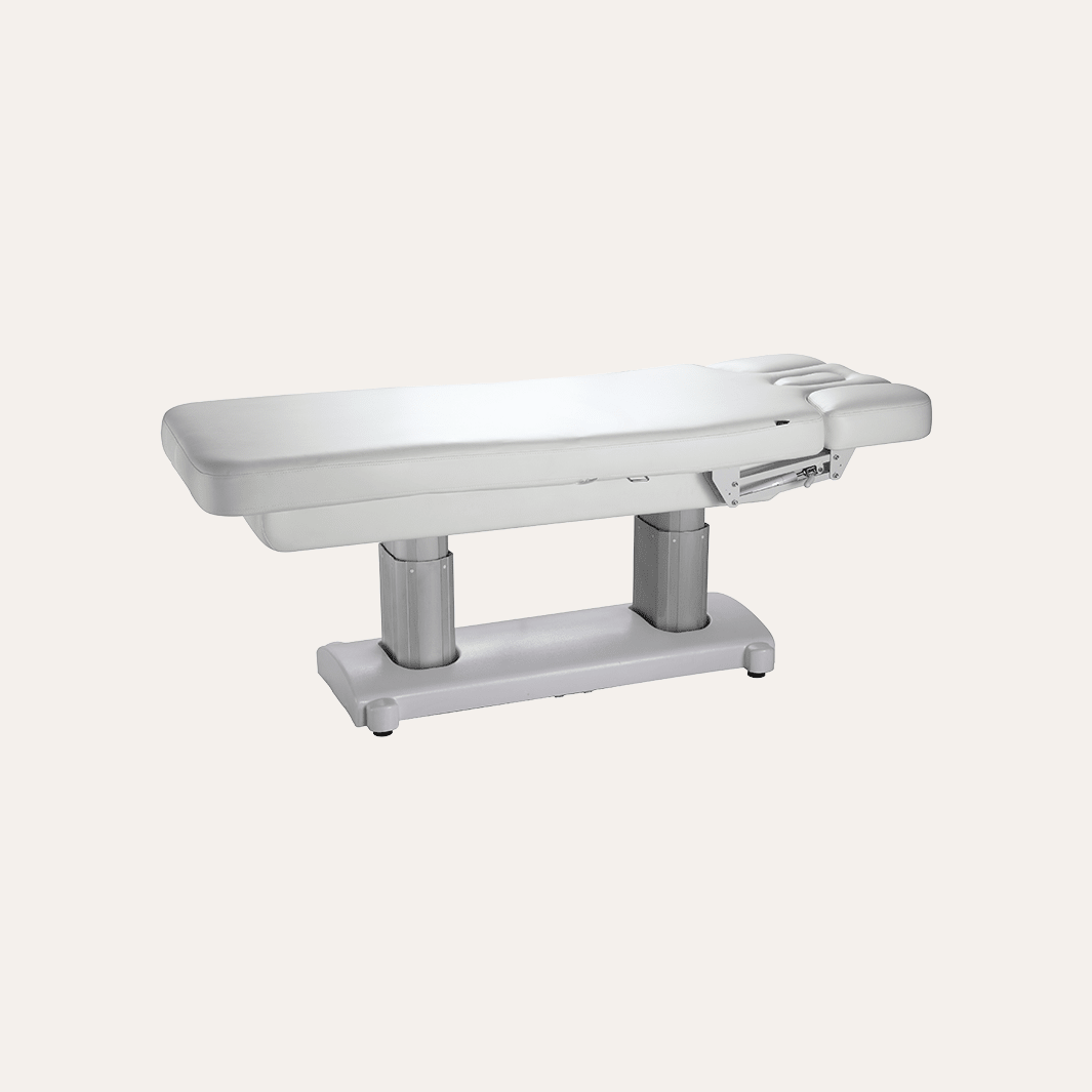 2249 Electric Multi Purpose Facial & Massage Bed
