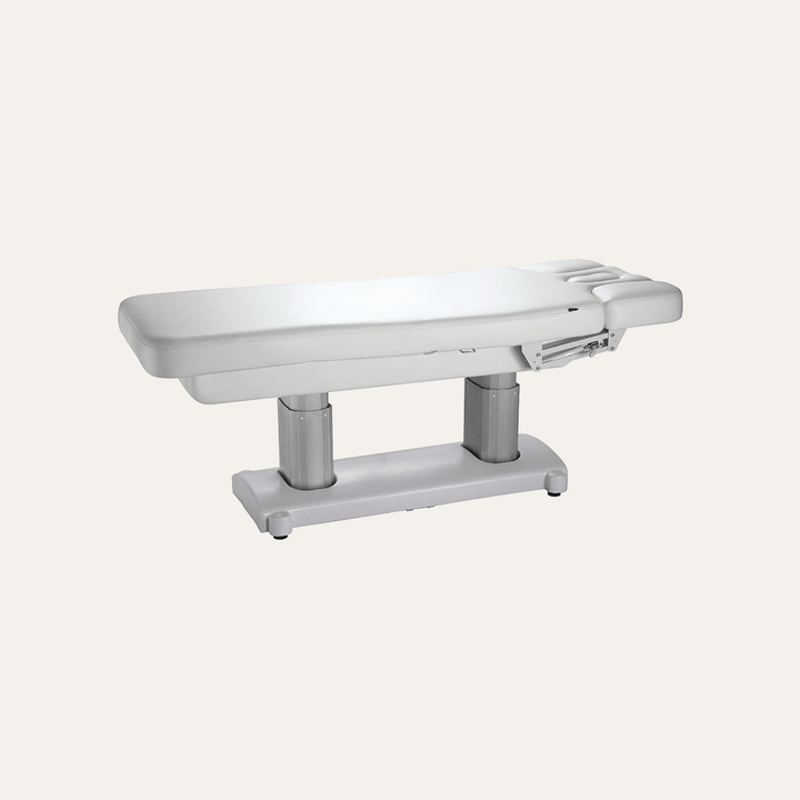 2249 Electric Multi Purpose Facial & Massage Bed