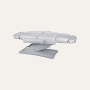 2235D Electric Facial & Treatment Chair