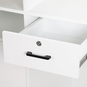 Arden Reception Desk