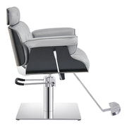 Planet All Purpose Grey Chair DIR