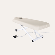 2274 Electric Multi Purpose Massage Table
