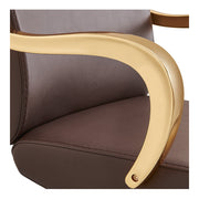 Meteor Gold Salon Styling Chair Brown DIR