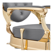 Princeton Gold Barber Chair - Gray DIR