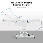 Electric Beauty Bed with 3 Motors, Tattoo Facial Bed for Esthetician , Massage Table for Client 2751
