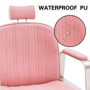 BarberPub Barber Chair for Hair Stylist, All Purpose Reclining Salon Styling Chair 8548
