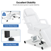 Electric Beauty Bed with 3 Motors, Tattoo Facial Bed for Esthetician , Massage Table for Client 2751
