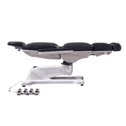 APEX Electric Spa Treatment Chair/Table - 4 Motors