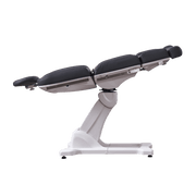 APEX Electric Spa Treatment Chair/Table - 4 Motors