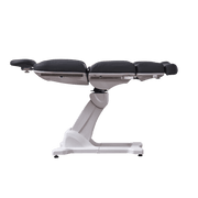 APEX Electric Spa Treatment Chair/Table - 4 Motors