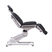 APEX Electric Spa Treatment Chair/Table - 4 Motors