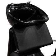 ARON II Shampoo Backwash Unit with UPC Certified Faucet
