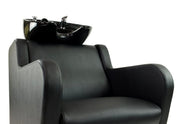 Stanley Shampoo Backwash Unit