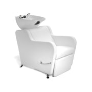 Stanley Shampoo Backwash Unit