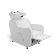Stanley Shampoo Backwash Unit