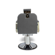 Bryzo All Purpose Styling Chair