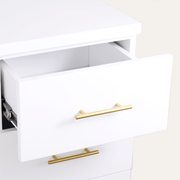 Taylor Styling Station