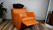 Stanley Shampoo Backwash Unit