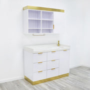 AVA Salon Color Bar & Wash Sink