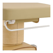 Luxi 4 Motors Medical Spa Treatment Table Beige DIR