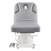 Luxi 4 Motors Medical Spa Treatment Table Gray DIR