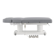 Luxi 4 Motors Medical Spa Treatment Table Gray DIR