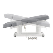 Luxi 4 Motors Medical Spa Treatment Table Gray DIR