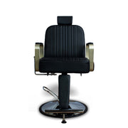 Bryzo All Purpose Styling Chair