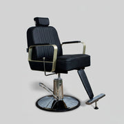 Bryzo All Purpose Styling Chair
