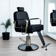 Bryzo All Purpose Styling Chair