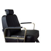 Bryzo All Purpose Styling Chair