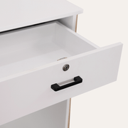 NOUVEAU Tambour Reception Desk (Small)