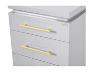 Romance II Styling Station Cabinet Silver Gray DIR