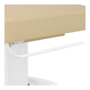 Tranquility 4 Motors Electric Medical Spa Treatment Table Beige DIR