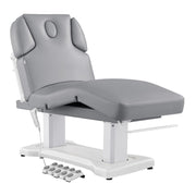 Tranquility 4 Motors Electric Medical Spa Treatment Table Gray DIR