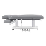 Tranquility 4 Motors Electric Medical Spa Treatment Table Gray DIR