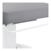 Tranquility 4 Motors Electric Medical Spa Treatment Table Gray DIR