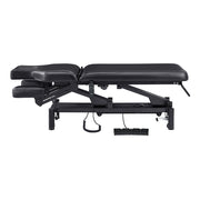 VitalEarth 2-Motors Treatment Table and Wellness Therapy Bed