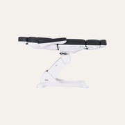 Remi Electric Spa Treatment Table / 4 Motors