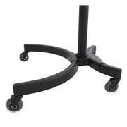 AirMist Salon Hair Steamer