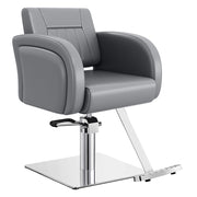 Anodic Salon Styling Chairs