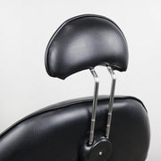 Aristo All Purpose Chair