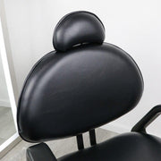 Aristo All Purpose Chair
